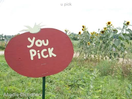 u pick